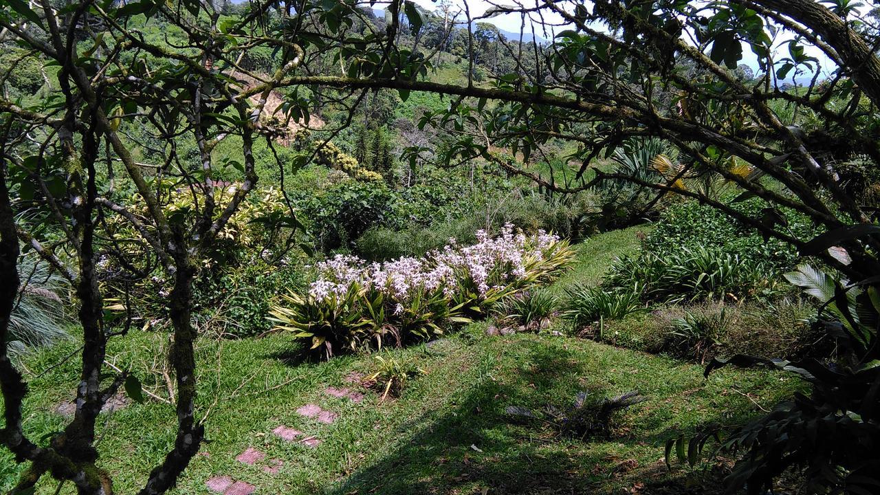 Finca Y Granja Loma Bonita 투리알바 외부 사진