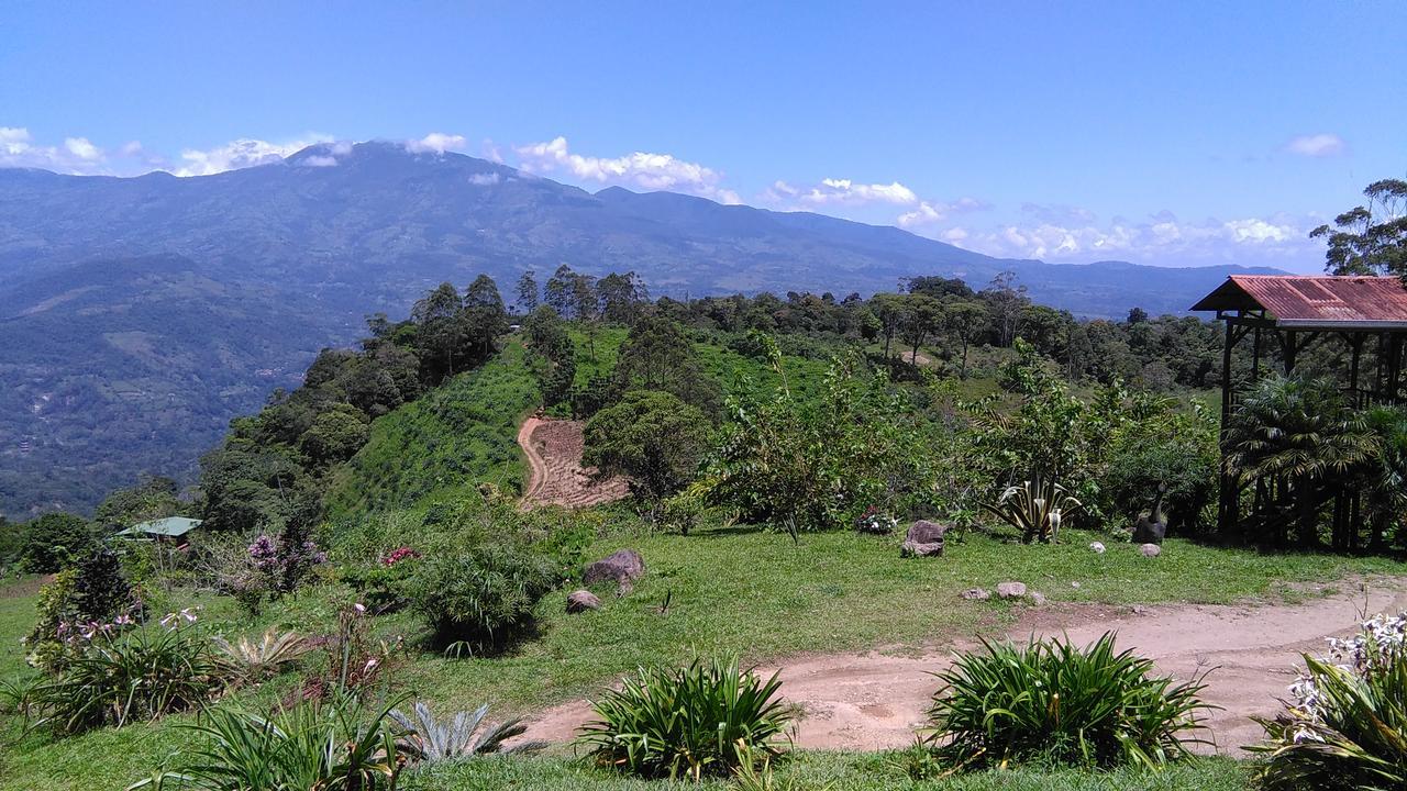 Finca Y Granja Loma Bonita 투리알바 외부 사진